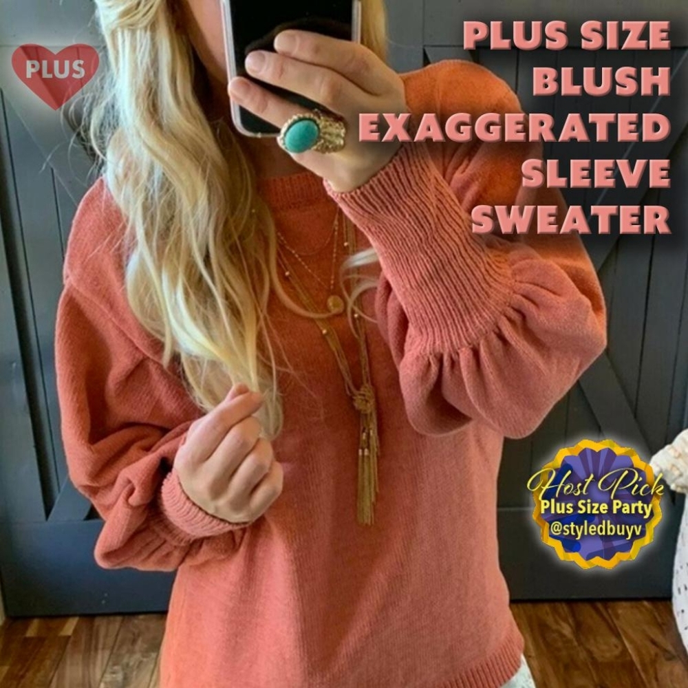 PLUS SIZE Blush Exaggerated Sleeve Sweater HOST PICK